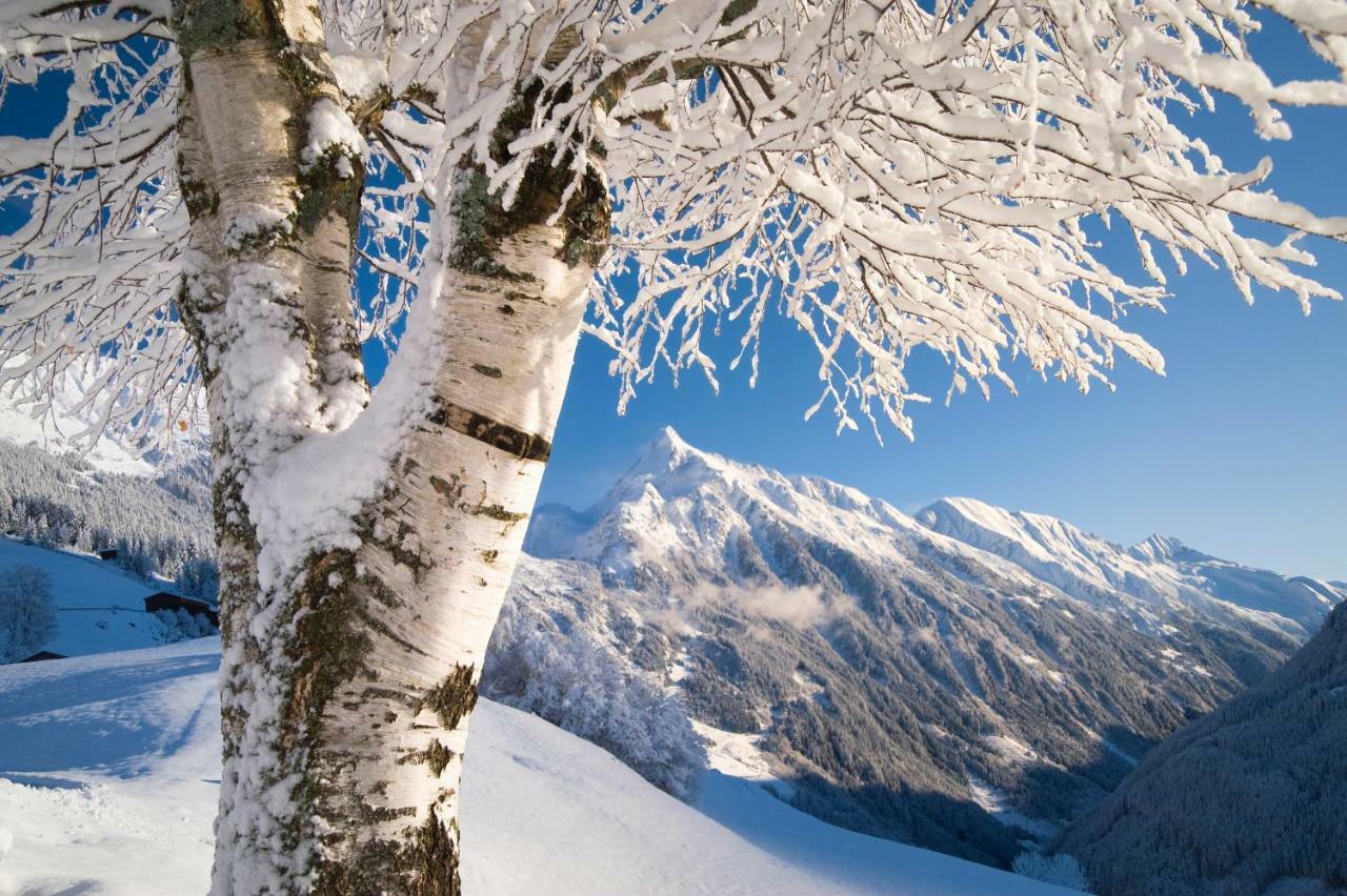 Zum Griena Mayrhofen